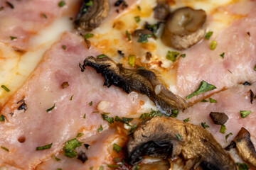 Fototapeta na wymiar delicious homemade fast food pizza with mushrooms