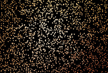 Dark Orange vector background with triangles.