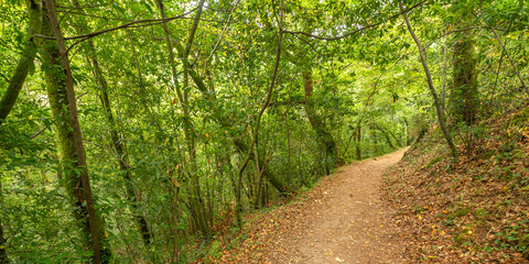 Fragas do Eume Natural Park, Pontedeume, La Coruña, Galicia, Spain, Europe
