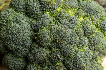 Green ripe broccoli in raw form