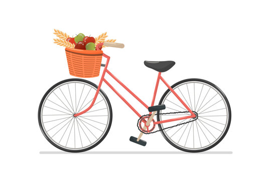 Vintage bicycle with basket of wheat and apples. Autumn isolated composition in retro style.