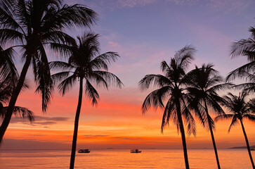 Fototapeta na wymiar Coconut Palm Tree Silhouettes on the Sunset Tropical Sea Beach