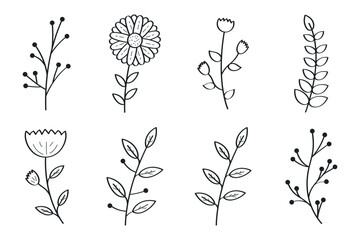 Black Doodle Botanical Flowers Set