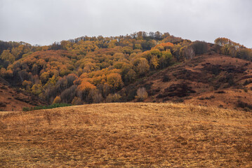 Misty rainy autumn mountain landscape in the morning. View of the misty mountain slopes in the distance. Morning foggy hills. Autumn in remote foothills in northern China.