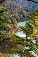 Fototapeta premium 日本 静岡県榛原郡川根本町にある奥大井湖上駅に架かる鉄橋と紅葉