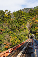 日本　静岡県榛原郡川根本町にある奥大井湖上駅に架かる鉄橋とトンネルと紅葉