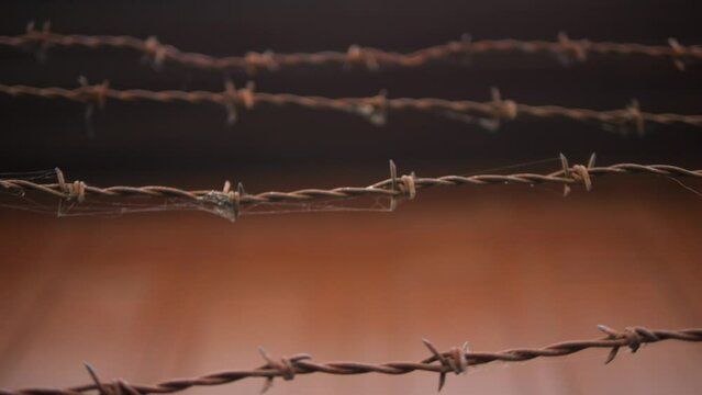 Rusted Barbed Wire Metal Fence with Sharp Spikes High Quality 4K Slow motion Close Up Footage, Prison Wall or Immigration Freedom War Concept.