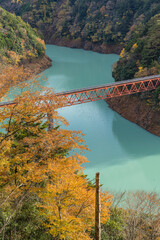 日本　静岡県榛原郡川根本町にある奥大井湖上駅に架かる鉄橋と紅葉