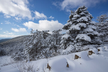 Fototapeta na wymiar Snow covered valley in Gudar mountains Virgen de la Vega Teruel Aragon Spain