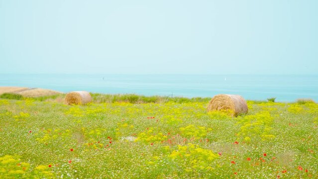 Green field with hay bales in front of the sea
