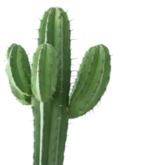 Abwaschbare Fototapete Kaktus cactus transparent background