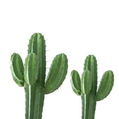 Foto op Plexiglas cactus transparent background © nditzmedia