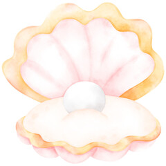 Cute Pearl Shell, Shell illustration, Pearl Shell, cute shell illustration, sea life
