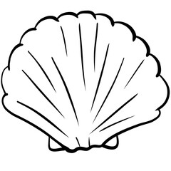 Cute Pearl Shell, Shell illustration, Pearl Shell, cute shell illustration, sea life