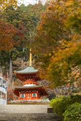 日本　大阪府箕面市にある勝尾寺の多宝塔と紅葉した木々