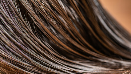 Beautiful wet long hair of a girl. Hair coloring in a beauty salon. Macro photography of women's...