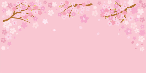 Naklejka na ściany i meble ピンクの桜の背景イラスト