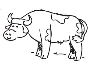 cow hand drawn vector illustration