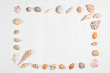 Frame of sea shells on sandy beach.