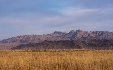 Obraz premium Rocky desert landscape with sparse vegetation and mountains peaks in a blue haze. Typical landscape near at Nepal Tibet border. Flat dry desert with mountains.