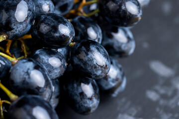 sweet ripe black grapes covered with drops of water