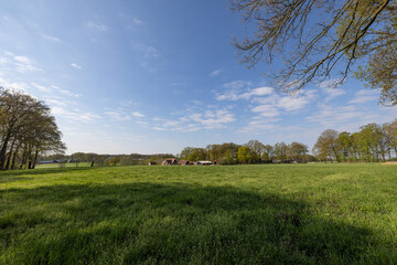Obraz premium farmhouse in the field