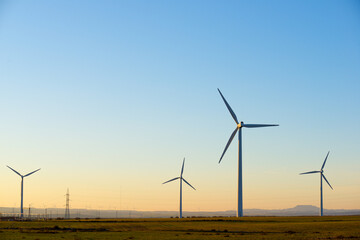 Wind turbine generators for renewable electricity production