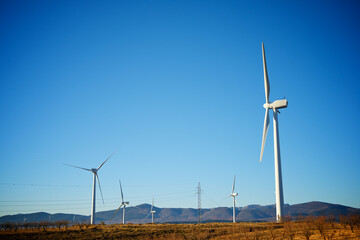 Wind turbine generators for renewable electricity production