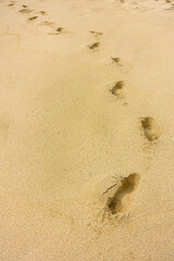 footsteps on the sand