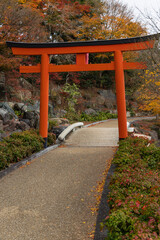 日本　大阪府箕面市にある勝尾寺の鳥居と紅葉した木々