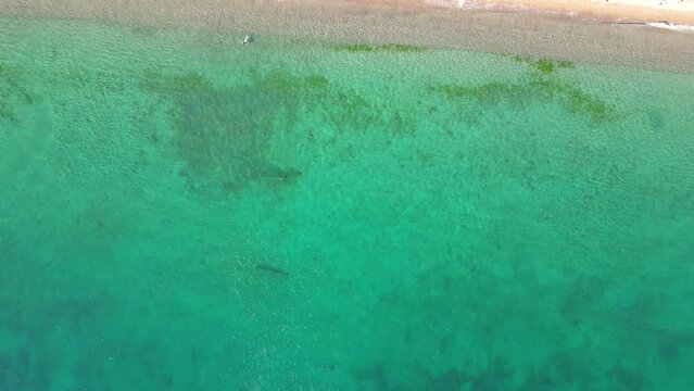 a drone fotage of a tropical bech in 4K
