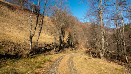 Car tracks winding through traditional gardens and orchards. Rural landscape in springtime season. Sunny day over the hills of Oltenia, Romanian region