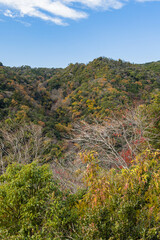 日本 大阪府箕面市の箕面公園にある望海丘展望台からの風景
