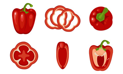 Vector illustration of sweet pepper fruit isolated on white background. Whole fruit, half, slices, pieces, rings. Isolated on white background. The concept of proper nutrition.