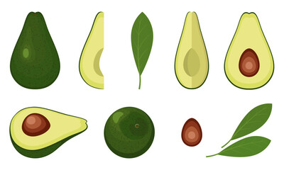 Avocado vector illustration. Set of avocado fruit. Whole fruit, half, pieces, slices, pit, avocado leaf. Healthy food concept.