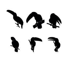 Collection of black silhouettes toucans
