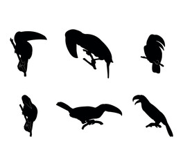 Collection of black silhouettes toucans