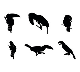 Obraz premium Collection of black silhouettes toucans