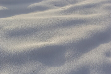 Fototapeta premium background of fresh snow texture in blue tone