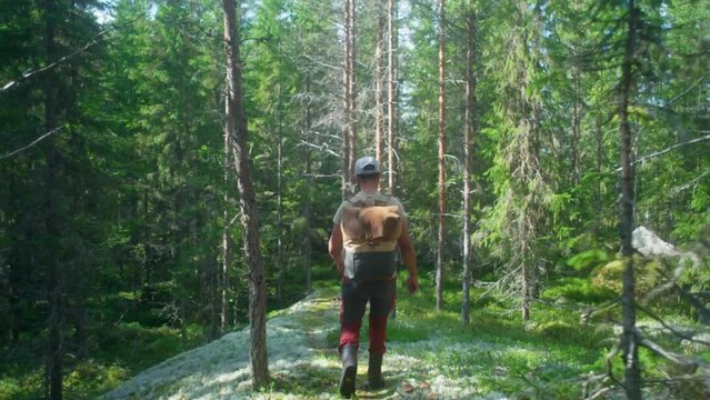 Man hiking through the woods on a sunny day
