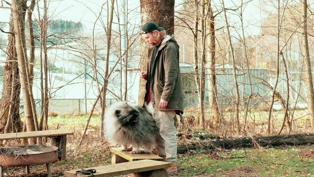 a wolfspitz and a young man practicing tricks together. of course, his friend has a treat ready to reward the fluffy four-legged friend for his efforts.