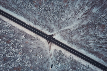 droga przez las © Piotr