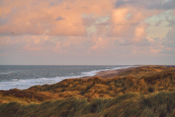 Wide dunes at danish west coast in the evening. High quality photo