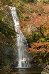 日本　大阪府箕面市にある箕面公園の箕面大滝と紅葉