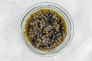 Caviar black in glass jar in ice cube