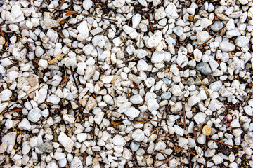 Top view of wooden sticks of branches between small white stones on the ground in a garden, uneven surface of the natural ground of a terrace