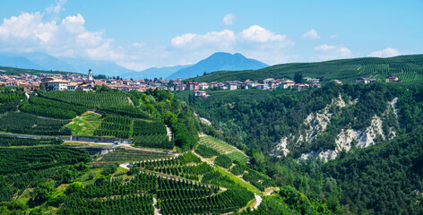 Fototapeta na wymiar Panoramic view of the Val di Non at summer season. Scenic view of vineyards and apple tree garden in Trentino-Alto Adige region of South Tyrol, Italy. Beautiful small Alpine village on a background.