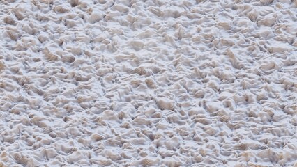 3D Futuristic cubes Wavy white background Abstract geometric mosaic grid Square tiles pattern