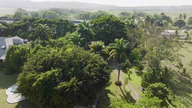 Aerial View Of Cinnamon Hill Great House (Home Of Johnny Cash) In St.Bran's Burg, Jamaica.