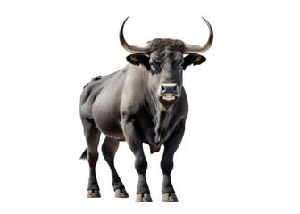 Bull isolated on white, transparent background, PNG, generative ai	
